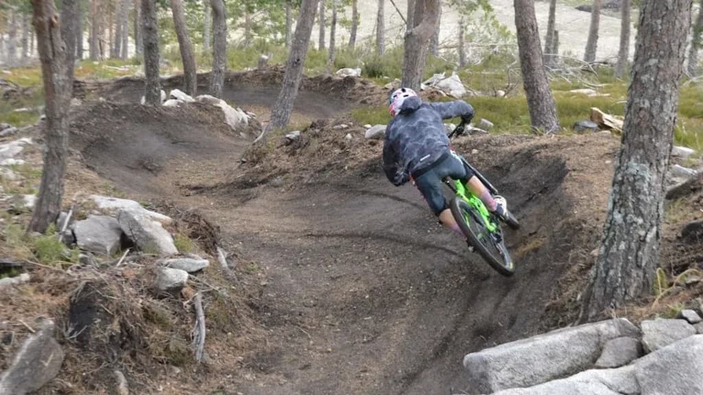 Berm in the forest