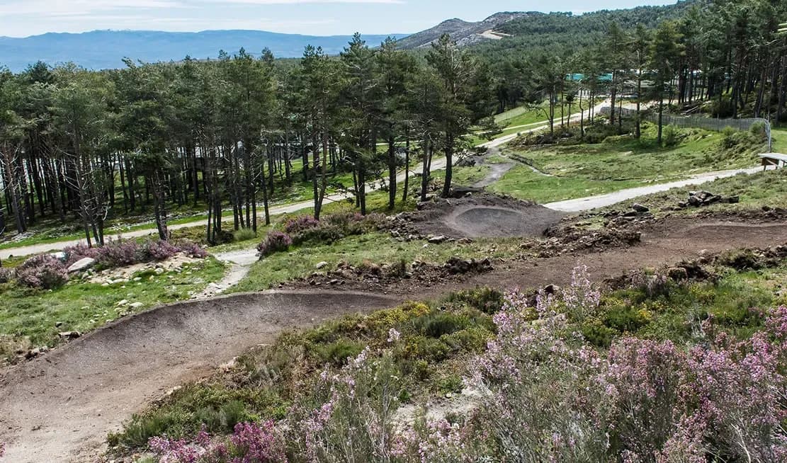 Trail through heather
