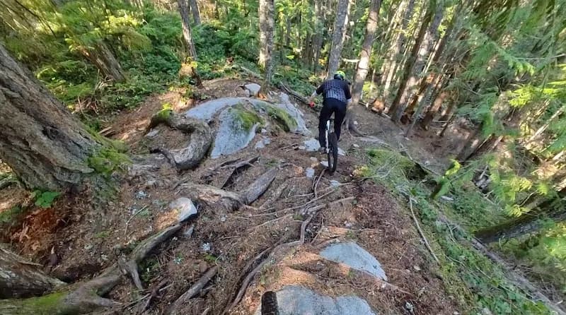 Rider fährt einen wurzeligen, felsigen Singletrail im Wald von Squamish hinunter